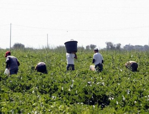 Demografia e migrazioni decisive per il territorio ferrarese